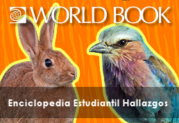 Rabbit and exotic bird with text World Book