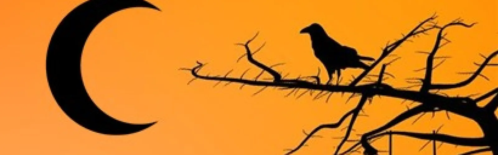 Silhouette of a bird on tree branch, looking at a crescent moon.