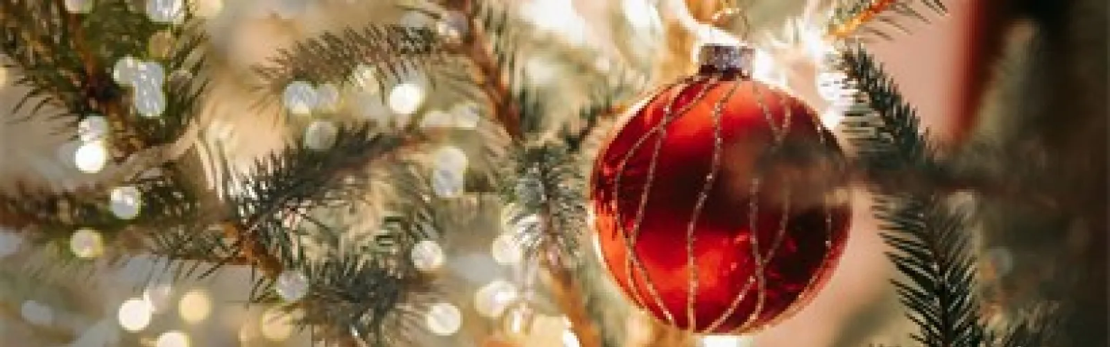 A red ornament hanging on a Christmas tree.